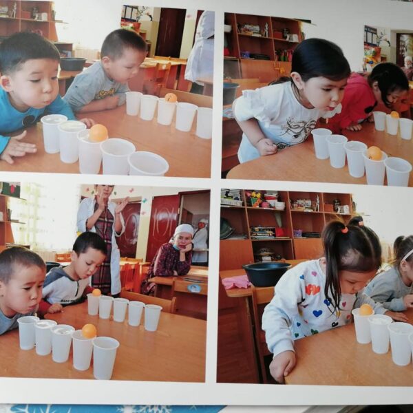 WhatsApp Image 2024-03-29 at 11.51.13 (1)