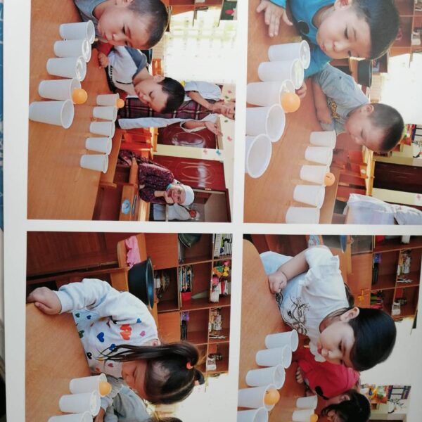 WhatsApp Image 2024-03-29 at 11.51.13 (2)